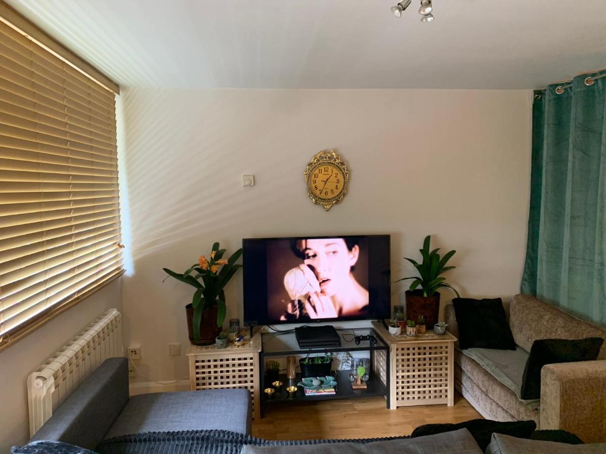 Garden Beautiful Cozy Flat , Recent Decorated. Daire Londra Dış mekan fotoğraf