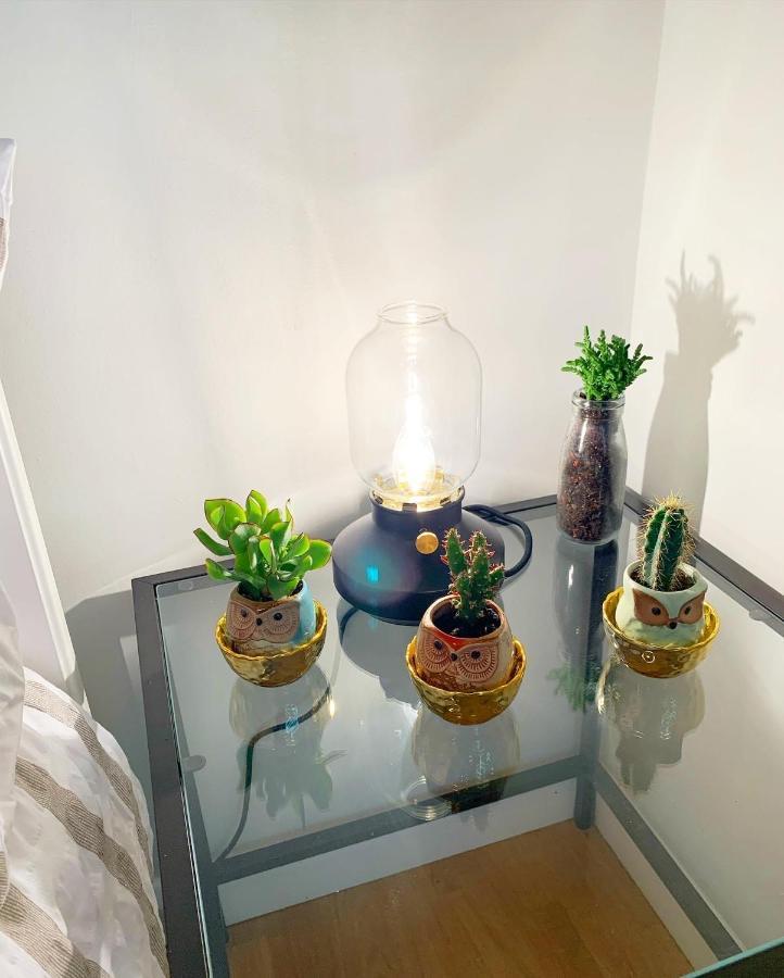 Garden Beautiful Cozy Flat , Recent Decorated. Daire Londra Dış mekan fotoğraf