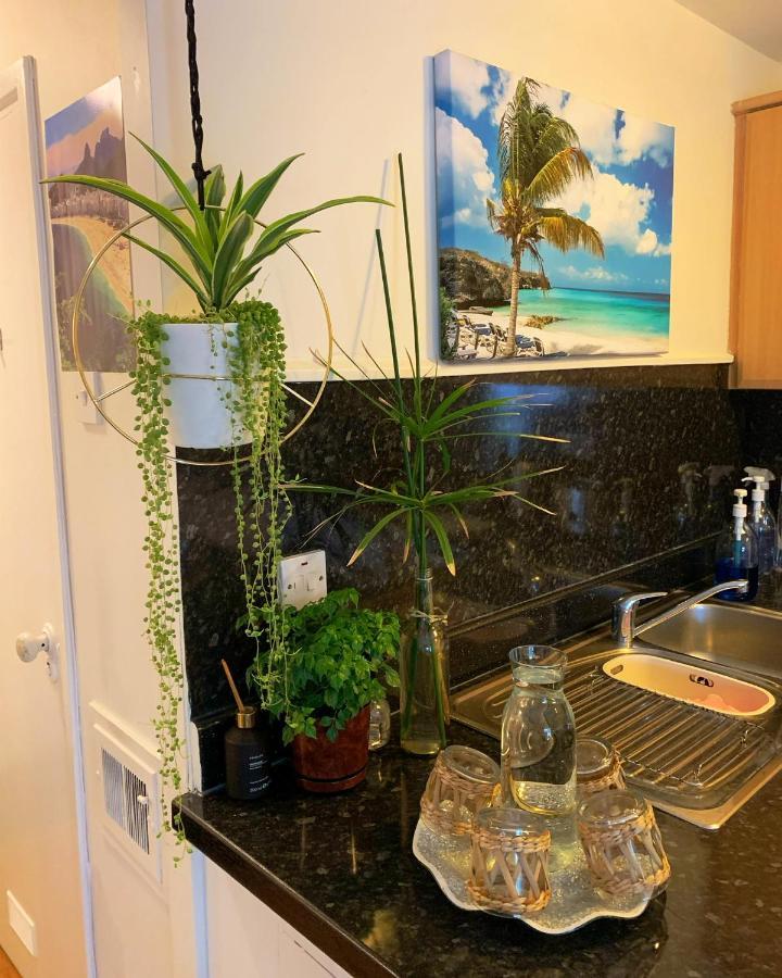 Garden Beautiful Cozy Flat , Recent Decorated. Daire Londra Dış mekan fotoğraf